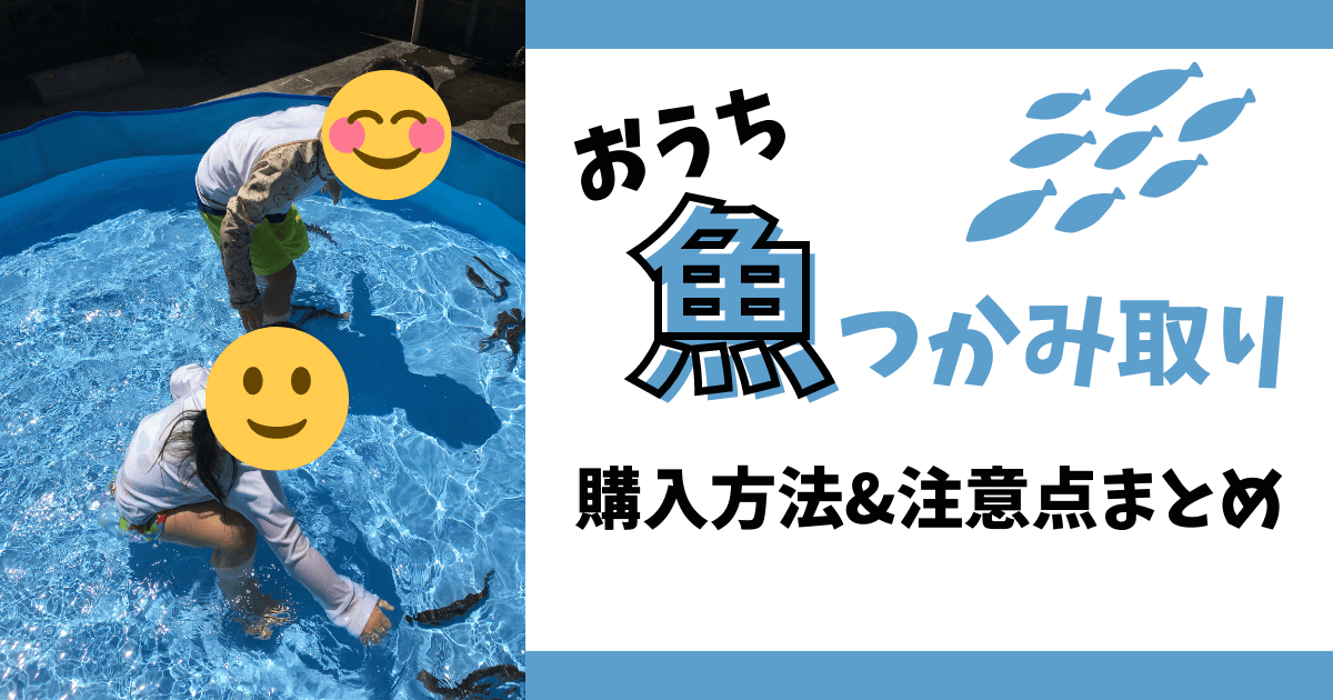 おうちで魚のつかみ取り！購入方法と注意点まとめ | ゆりいろログ